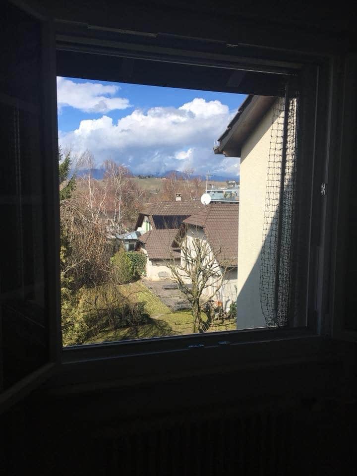 Window frame – 2