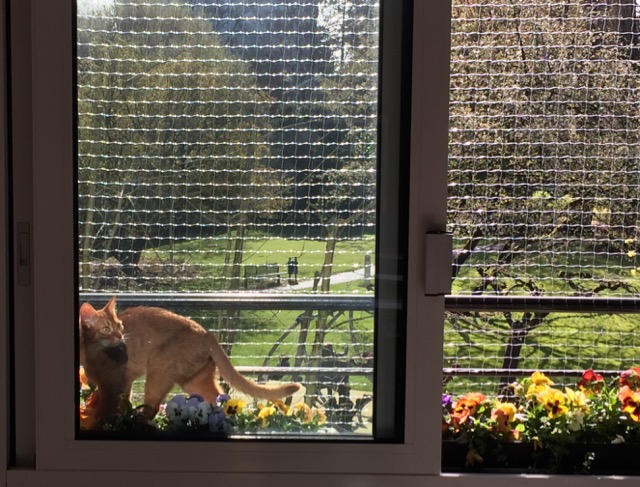 Window frame – 13