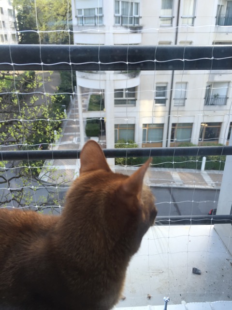 Window frame – 12