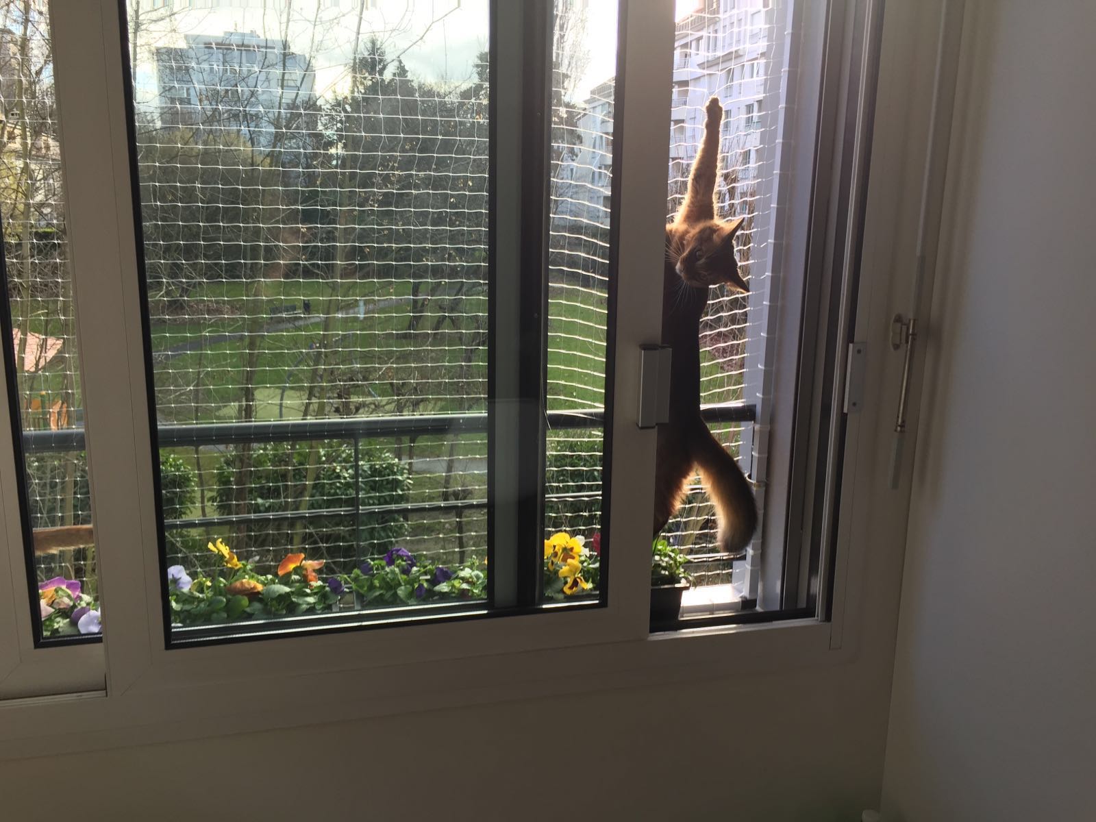 Window frame – 11