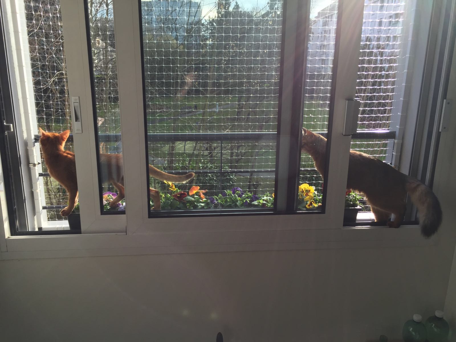 Window frame – 10