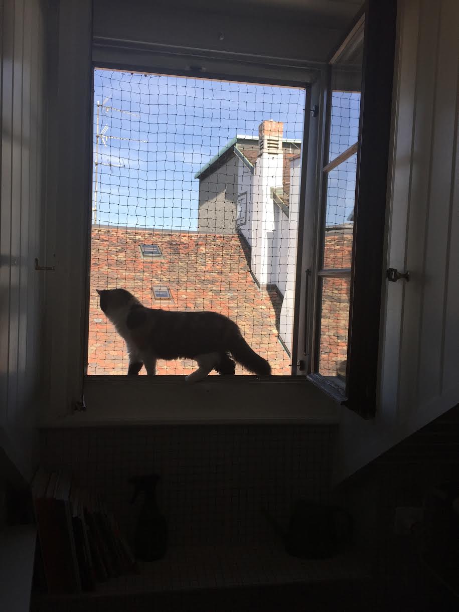 Window frame – 9