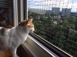 Window frame – 6