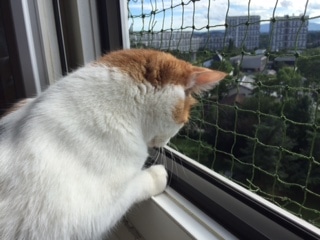 Window frame – 7