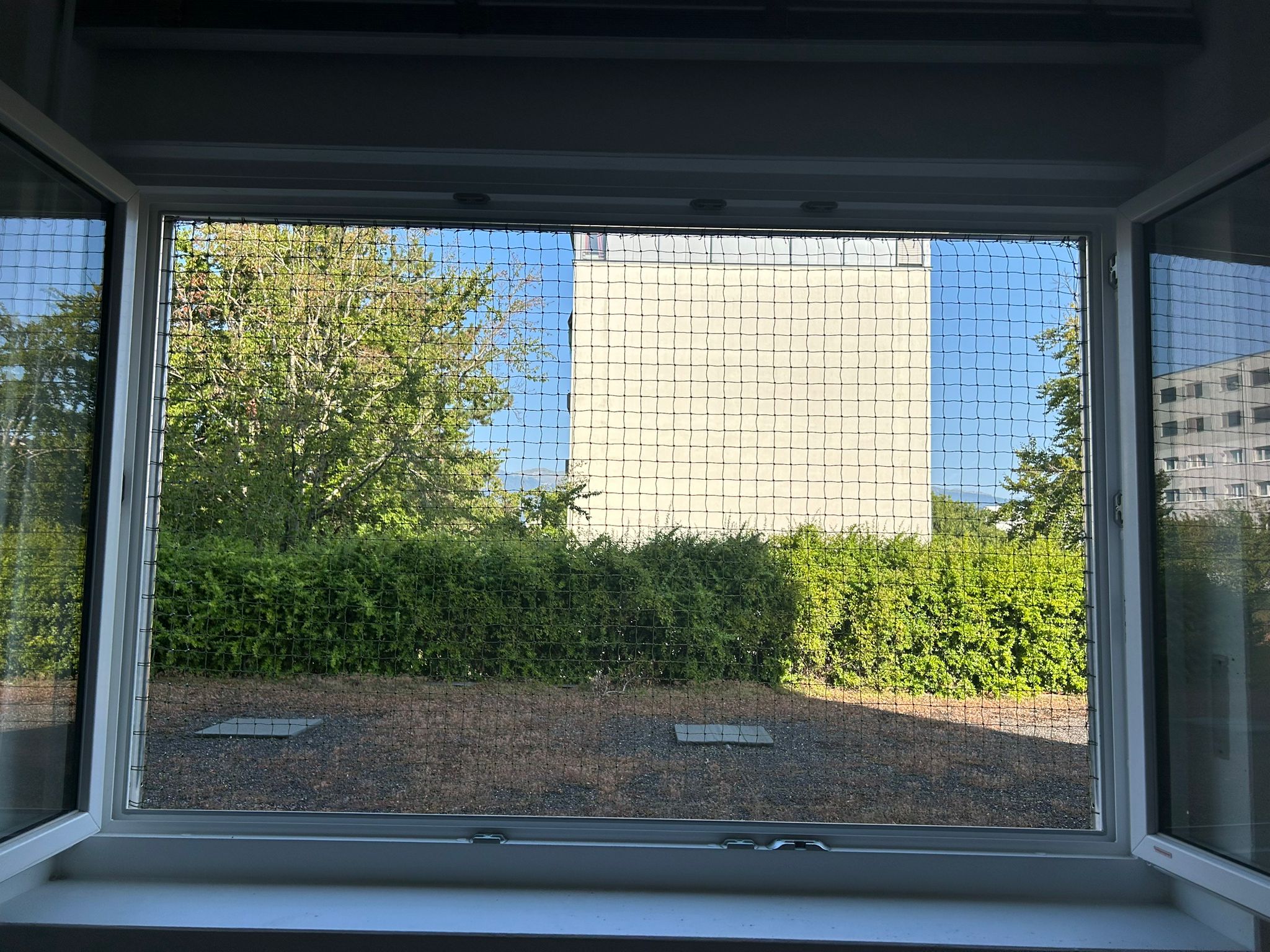 cadre-de-securite-pour-fenetre-protection-chat-03-1